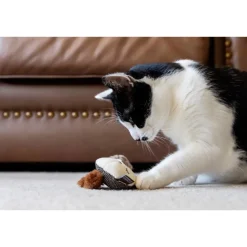 P.L.A.Y. Feline Frenzy Forest Friends Cat Toys