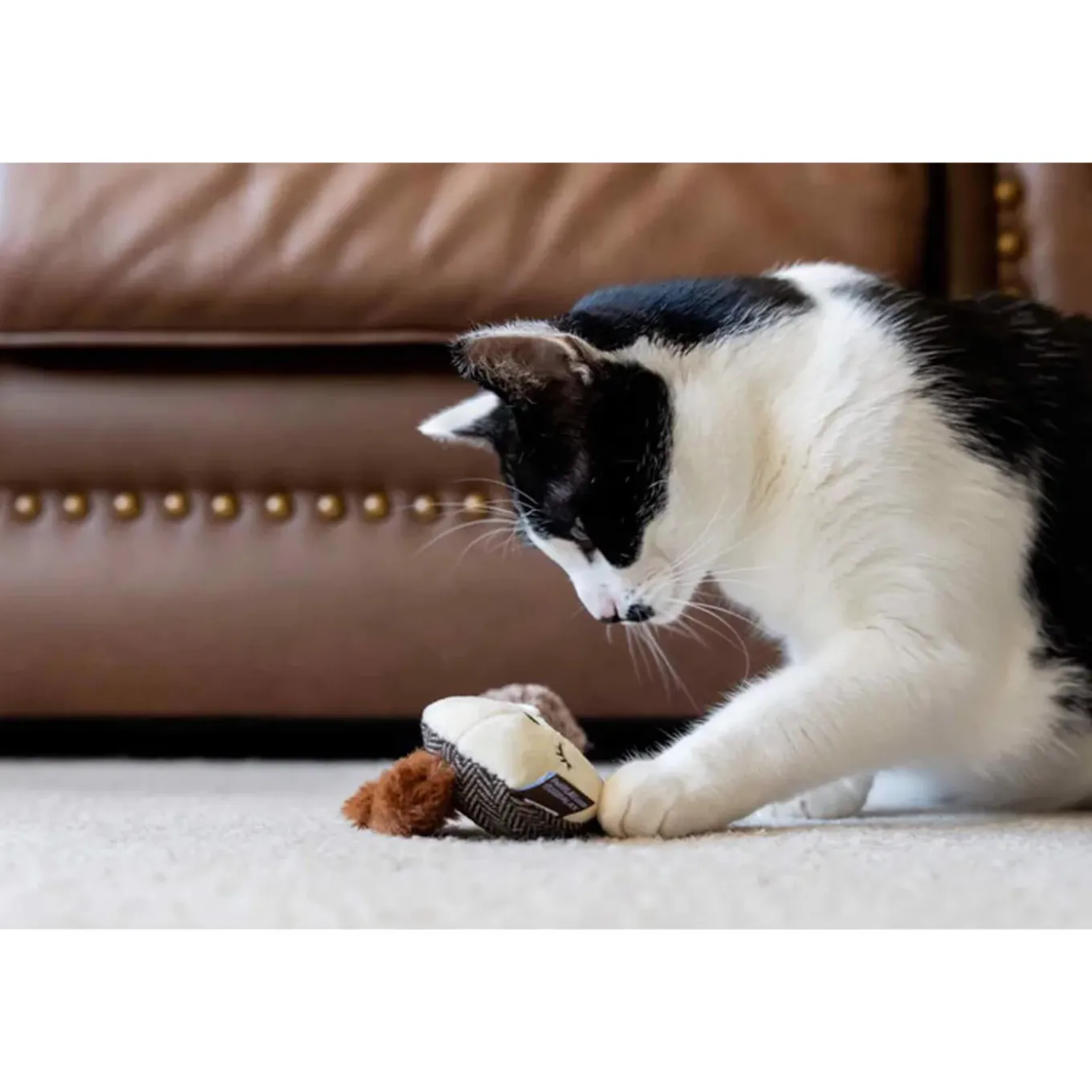 P.L.A.Y. Feline Frenzy Forest Friends Cat Toys