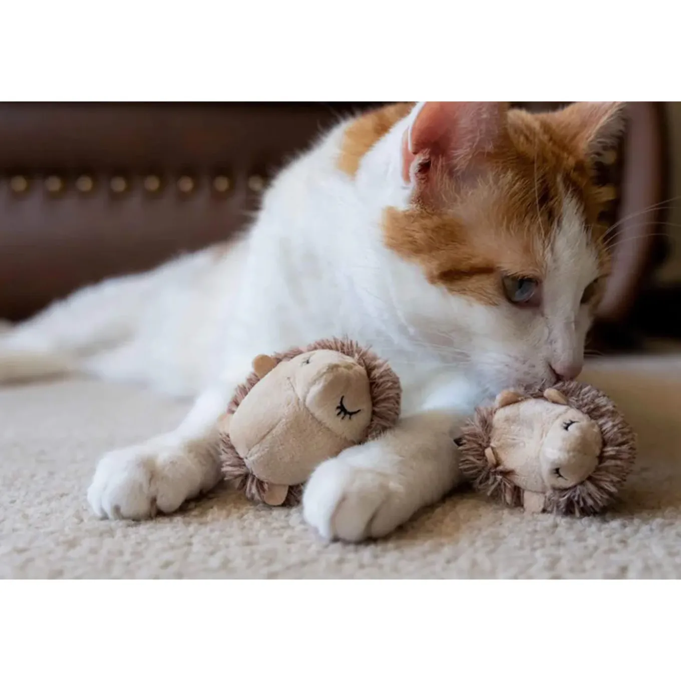 P.L.A.Y. Feline Frenzy Forest Friends Cat Toys