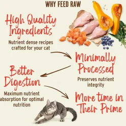 Primal Feline Kibble in the Raw Freeze-Dried Cat Food