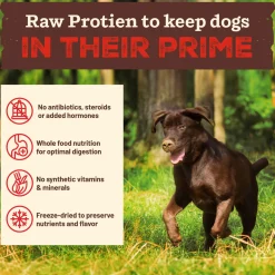 Primal Kibble in the Raw Freeze-Dried Dog Food