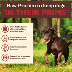 Primal Kibble in the Raw Freeze-Dried Dog Food