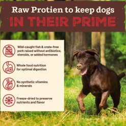 Primal Kibble in the Raw Freeze-Dried Dog Food