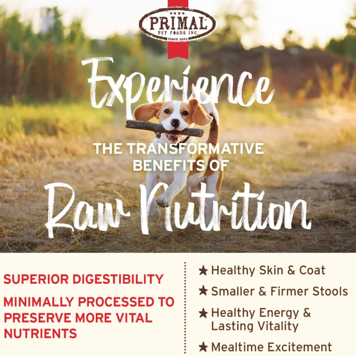 Primal Pet Foods Freeze-Dried Nuggets Dog Food