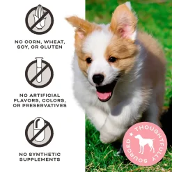 Primal Pet Foods Jerky Treats for Dogs