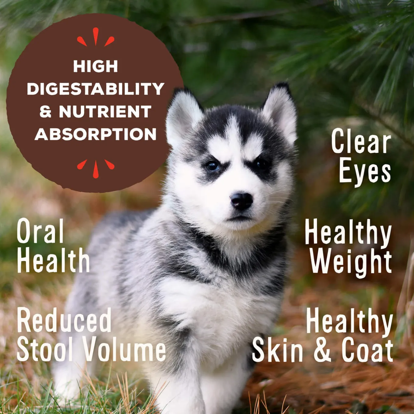 Primal Pet Foods Pronto Freeze-Dried Raw Puppy Food