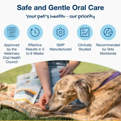 ProDen PlaqueOff Mini Dental Care Bones for Dogs
