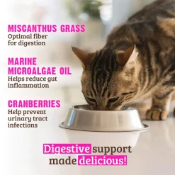 RAWZ Digestive Support Wet Cat Food
