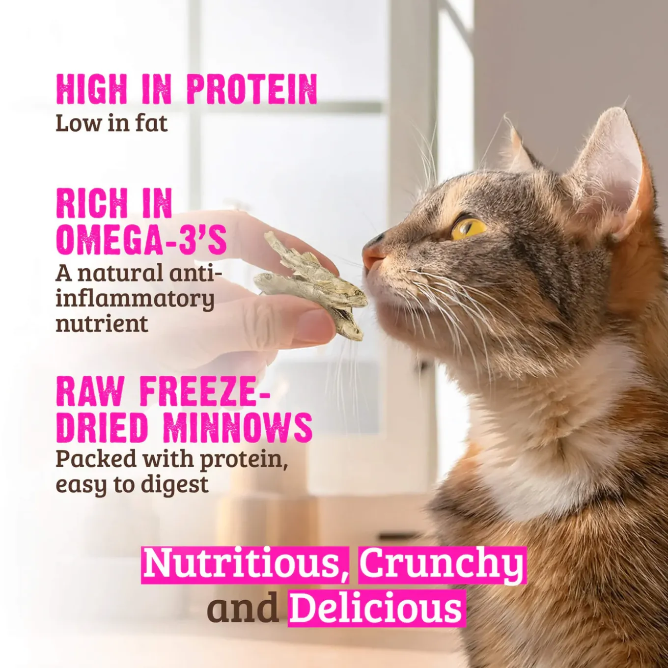 RAWZ Freeze Dried Cat Treats