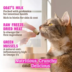 RAWZ Freeze Dried Cat Treats