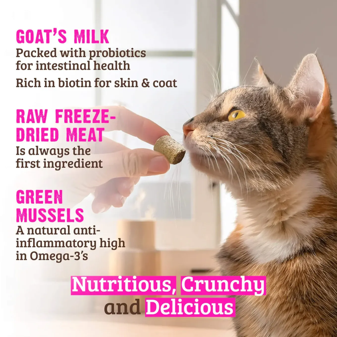 RAWZ Freeze Dried Cat Treats