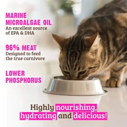 RAWZ Low Phosphorous Pate Wet Cat Food