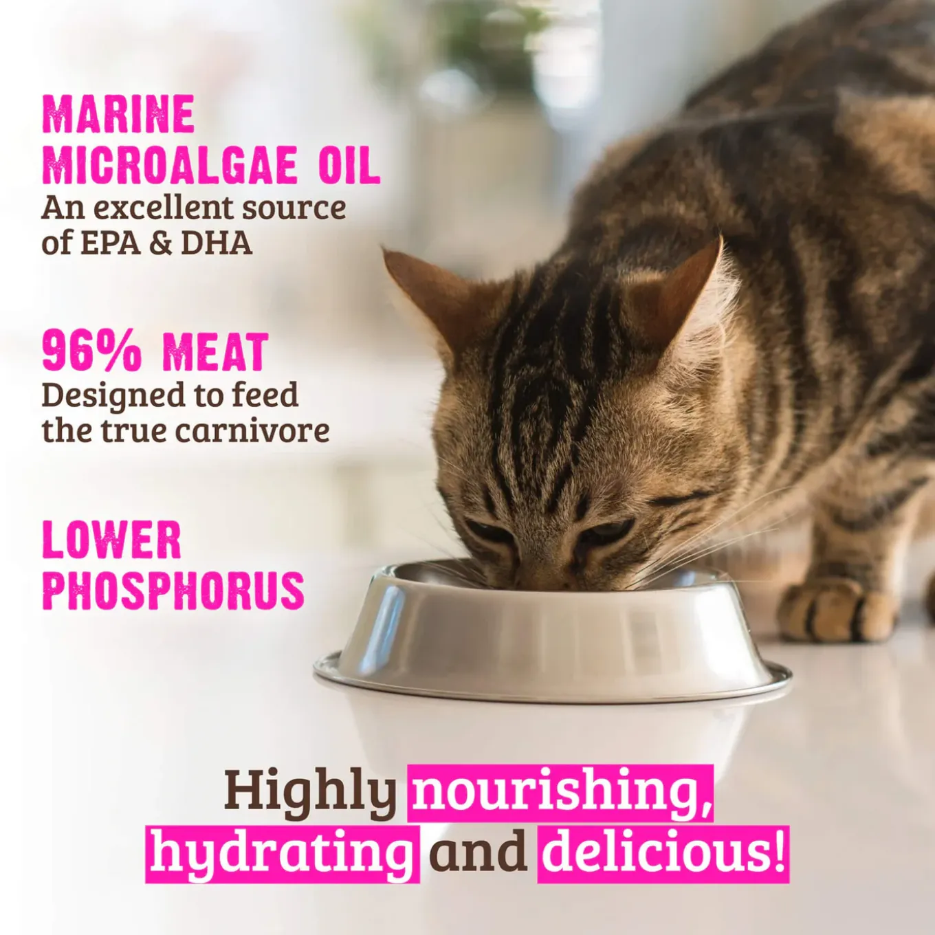 RAWZ Low Phosphorous Pate Wet Cat Food