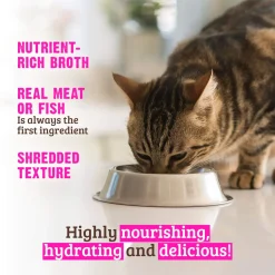 RAWZ Shredded Grain Free Wet Cat Food