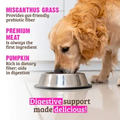 RAWZ Digestive Support Wet Dog Food