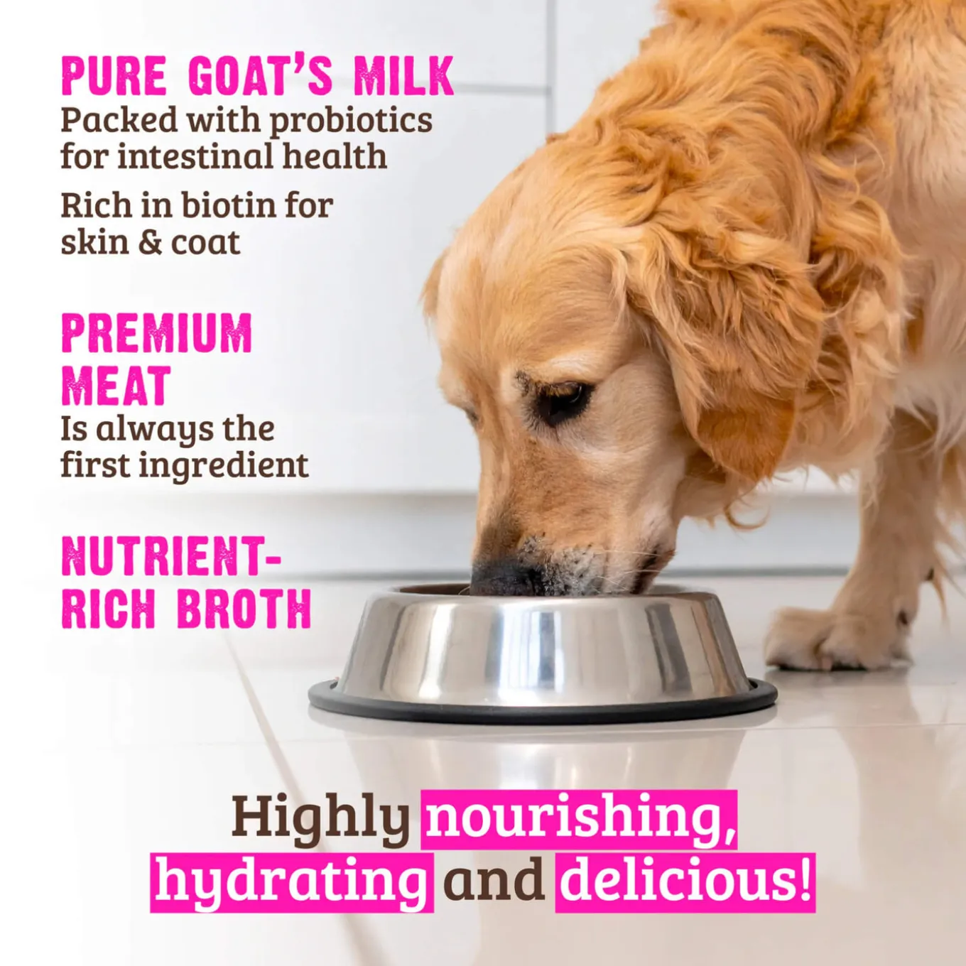 RAWZ Goat's Milk Stew Wet Dog Food
