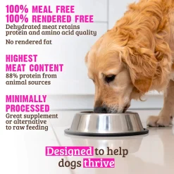 RAWZ Meal Free Natural Dry Dog Food