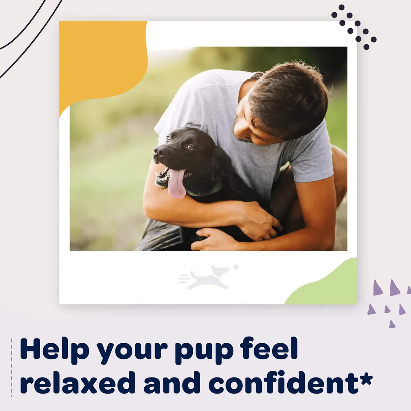 Ready Pet Go! Calming & Relaxing Supplement for Dogs