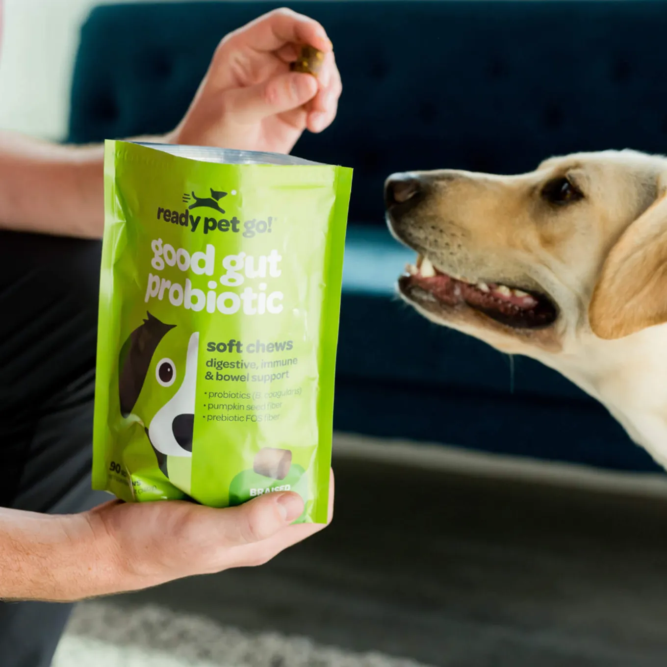 Ready Pet Go! Good Gut Probiotic Supplement for Dogs