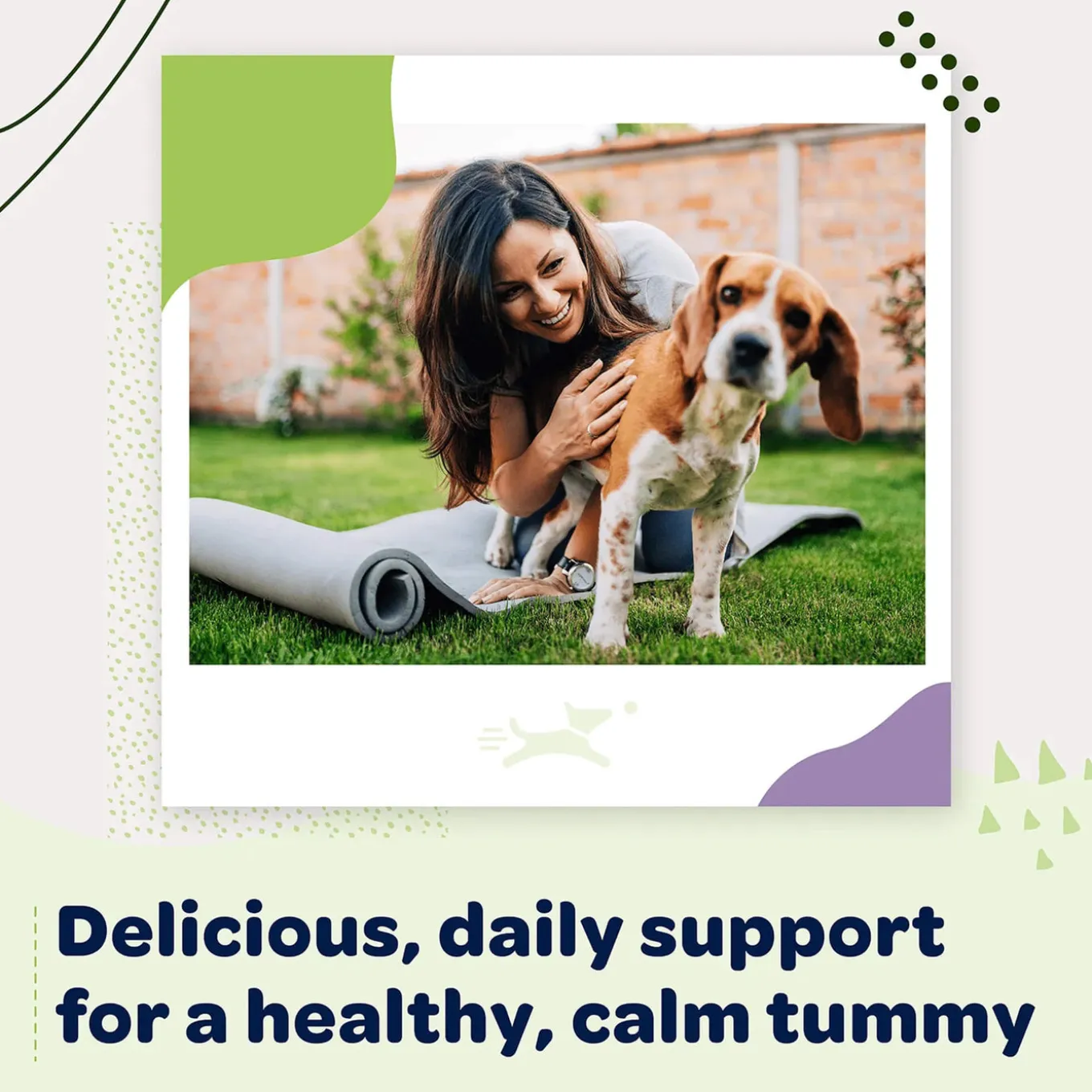 Ready Pet Go! Good Gut Probiotic Supplement for Dogs