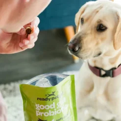 Ready Pet Go! Good Gut Probiotic Supplement for Dogs
