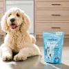 Ready Pet Go! Healthy 12-in-1 Multivitamin Supplement for Dogs