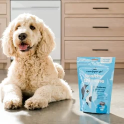Ready Pet Go! Healthy 12-in-1 Multivitamin Supplement for Dogs