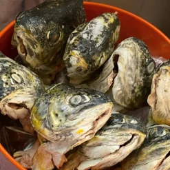 Scout & Zoe's Butcher's Bites Trout Heads for Dogs & Cats