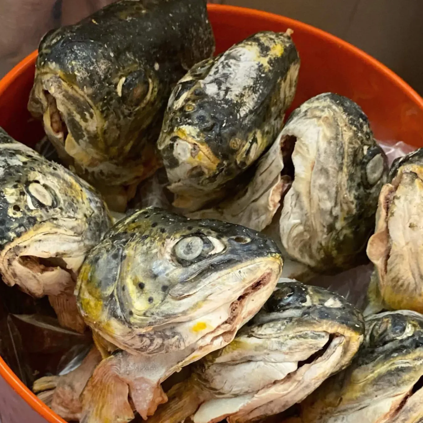 Scout & Zoe's Butcher's Bites Trout Heads for Dogs & Cats