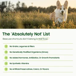 SmallBatch Freeze Dried Liver Treats for Dogs & Cats