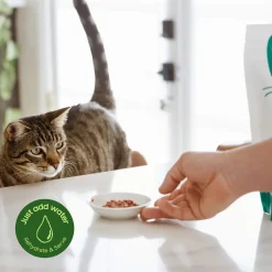 SmallBatch Freeze Dried Meal Bites for Cats