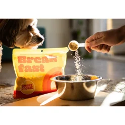 Smart Cookie Scoop & Serve Dog Food Topper
