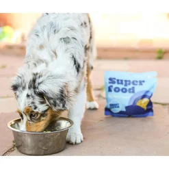 Smart Cookie Scoop & Serve Dog Food Topper