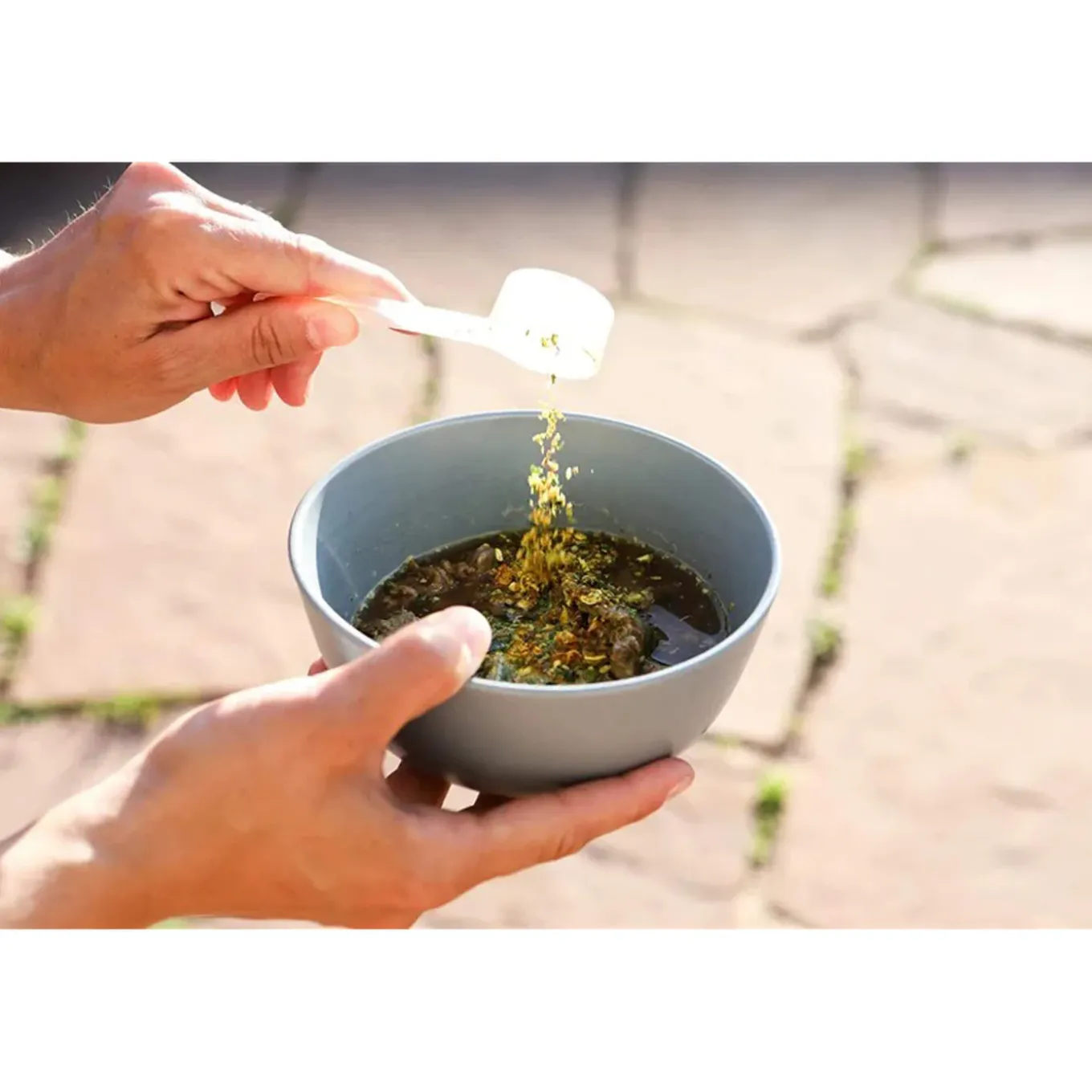 Smart Cookie Scoop & Serve Dog Food Topper
