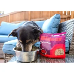 Smart Cookie Scoop & Serve Dog Food Topper