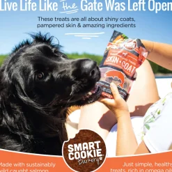 Smart Cookie Skin & Coat Salmon Dog Treats