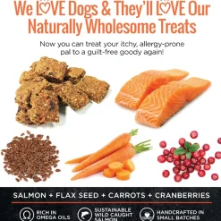 Smart Cookie Skin & Coat Salmon Dog Treats