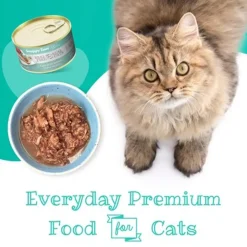 Snappy Tom Lites Grain Free Shredded Wet Cat Food