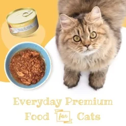 Snappy Tom Lites Grain Free Shredded Wet Cat Food