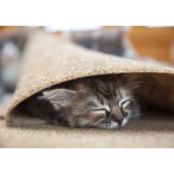 SnugglyCat Ripple Rug Interactive Dual Layer Play Mat for Cats