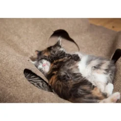 SnugglyCat Ripple Rug Interactive Dual Layer Play Mat for Cats