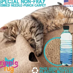 SnugglyCat Ripple Rug Interactive Dual Layer Play Mat for Cats