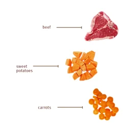 Sojos Complete Grain-Free Dog Food Mix