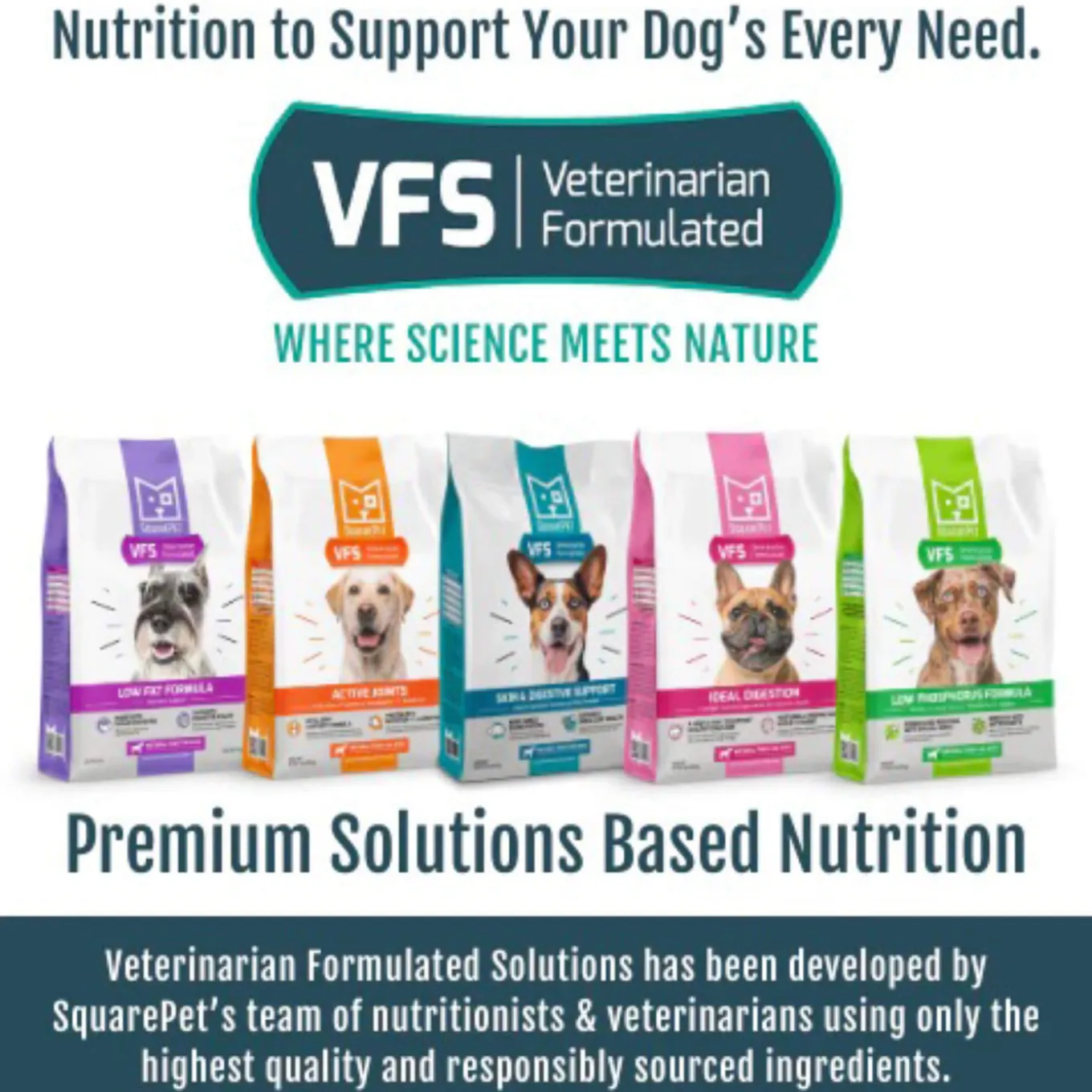 Square Pet VFS Active Joints Dry Dog Food