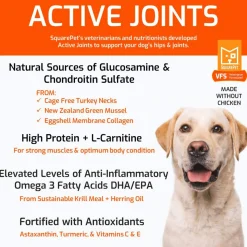 Square Pet VFS Active Joints Dry Dog Food