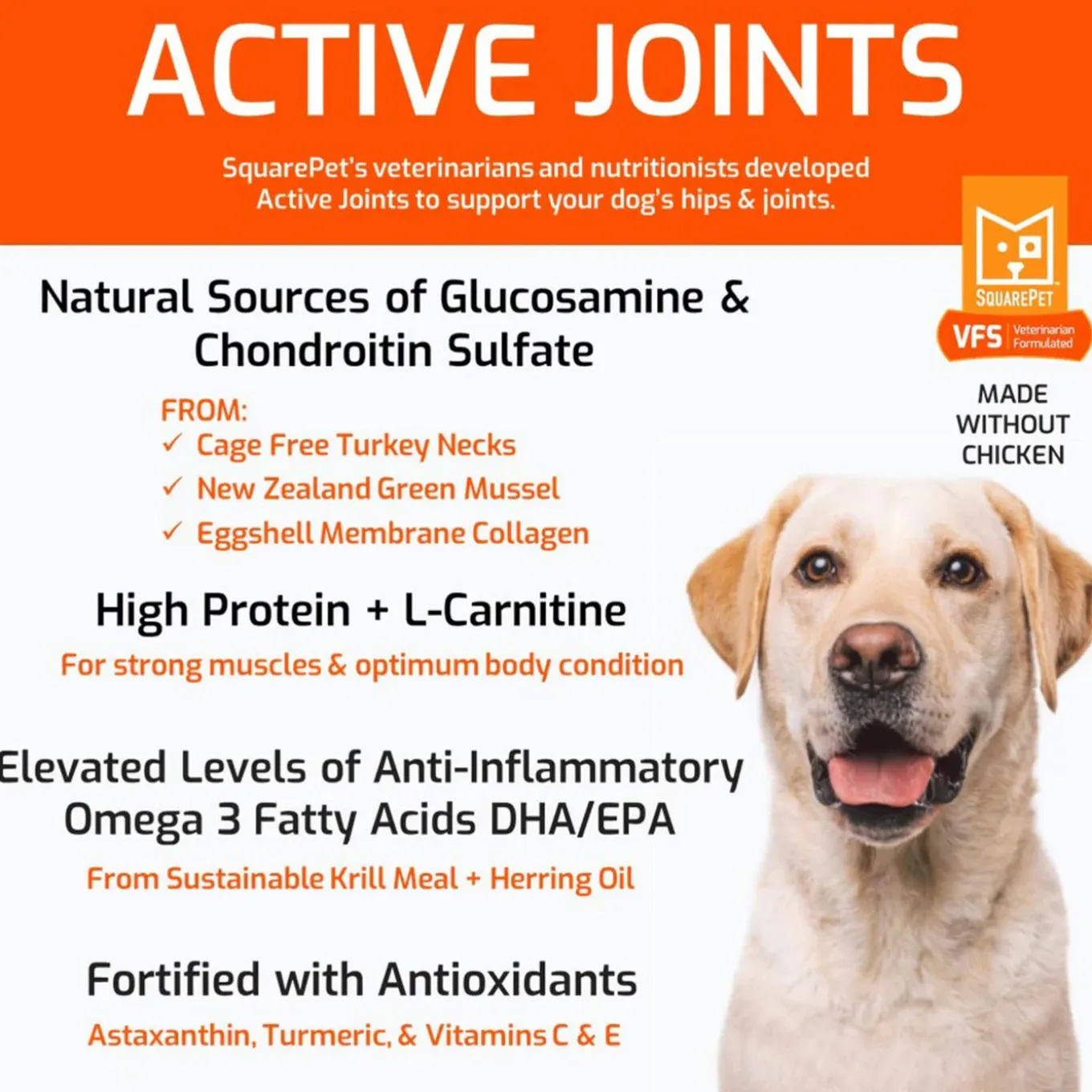 Square Pet VFS Active Joints Dry Dog Food