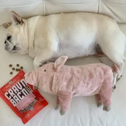 Stella & Chewy's Crav'n Bac'n Bites Dog Treats