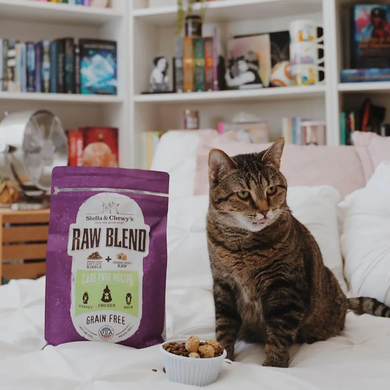 Stella & Chewy's Raw Blend Dry Cat Food