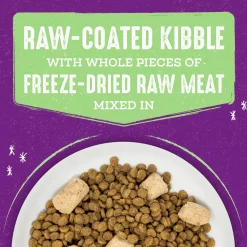 Stella & Chewy's Raw Blend Dry Cat Food