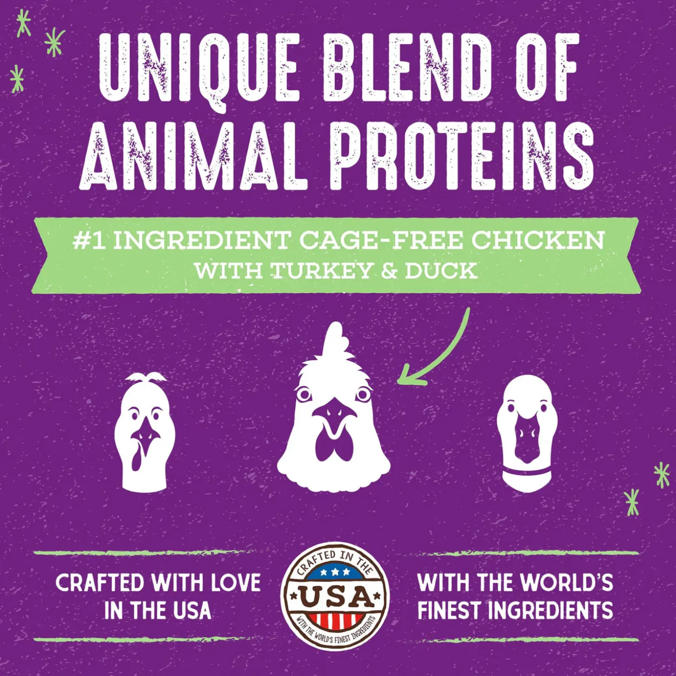 Stella & Chewy's Raw Blend Dry Cat Food
